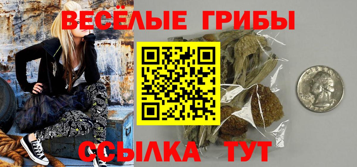 Псилоцибиновые грибы Magic Shrooms  купить наркотики цена  Нарткала  Вход с VPN 